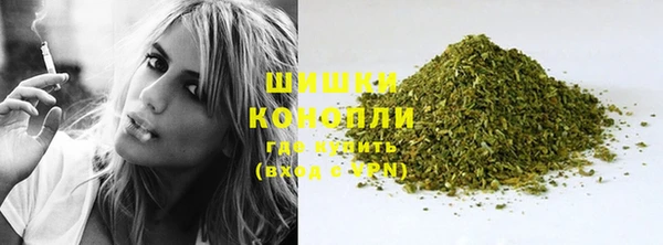 индика Нязепетровск