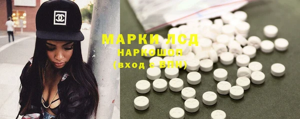 индика Нязепетровск