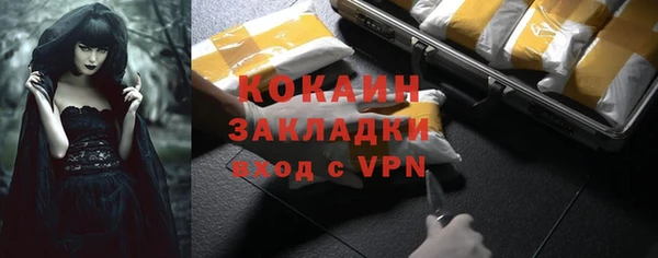 индика Нязепетровск
