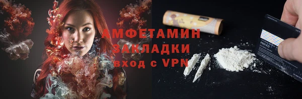 индика Нязепетровск