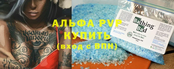 индика Нязепетровск