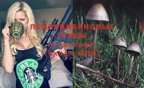 гашиш Няндома