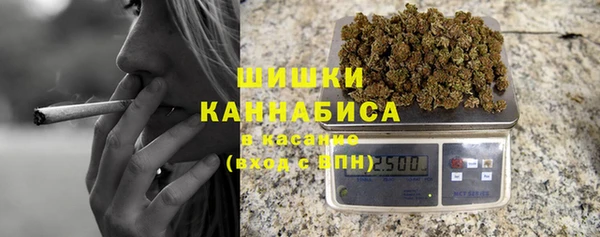 индика Нязепетровск