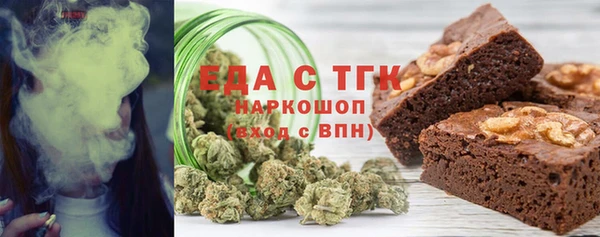 индика Нязепетровск