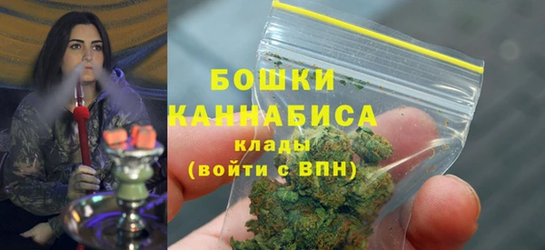 индика Нязепетровск