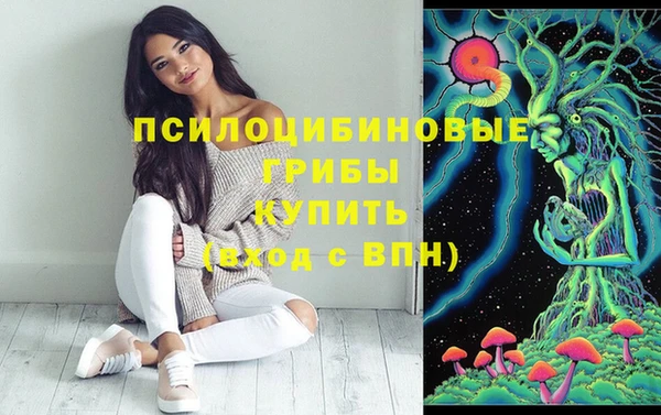 гашиш Няндома