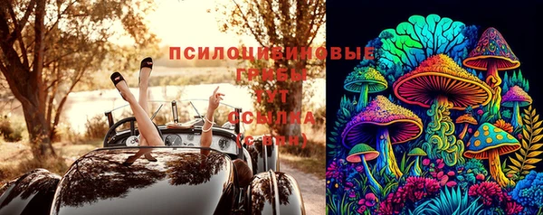 индика Нязепетровск