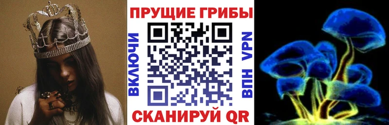 Купить  Пенза  Псилоцибиновые грибы MAGIC MUSHROOMS 