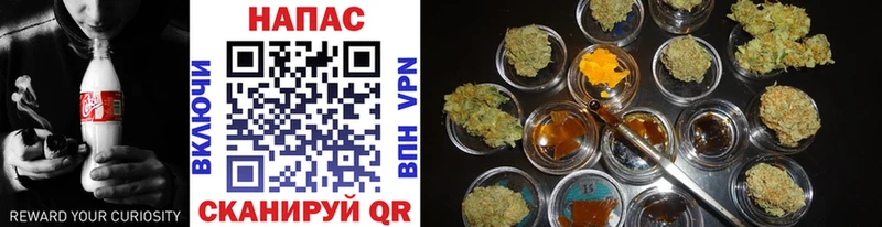 Купить где  Пенза  Шишки марихуана LSD WEED 
